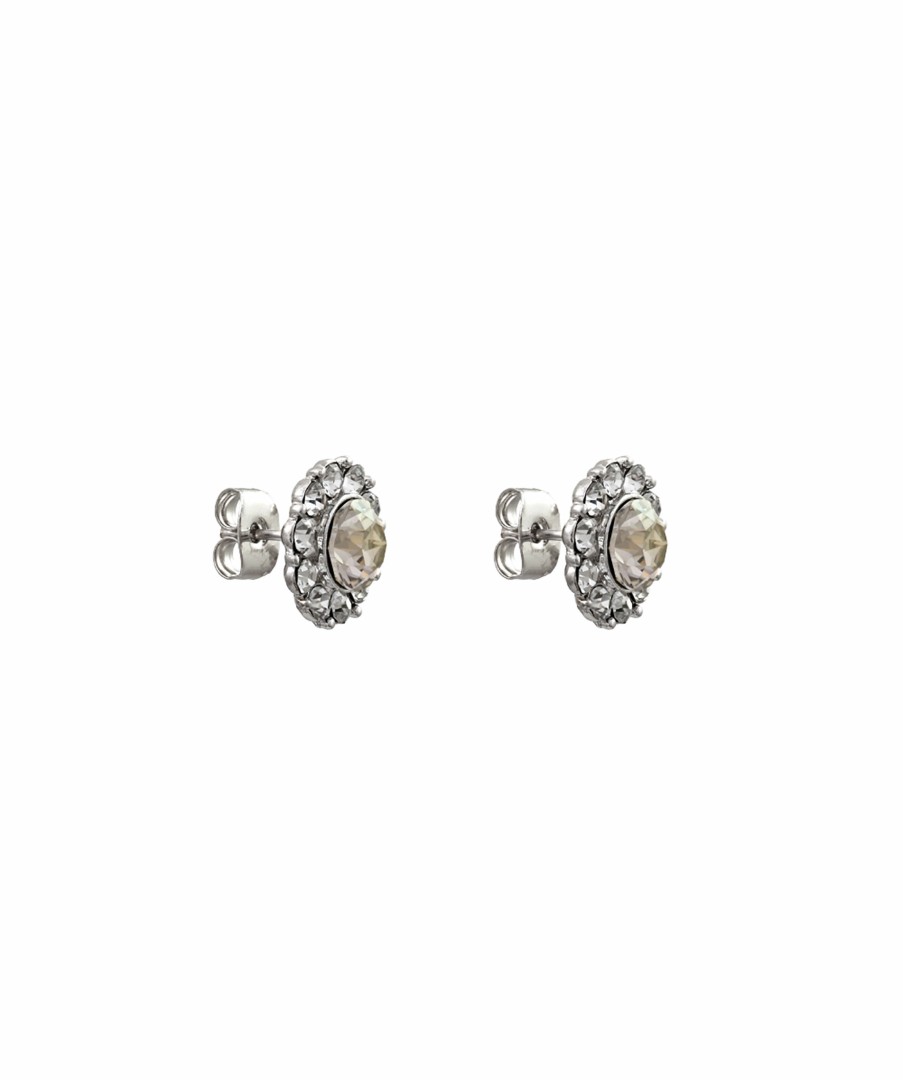 Kvinna Lily And Rose Smycken | Miss Sofia Earrings