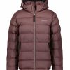 Man Gant Jackor | Active Cloud Jacket