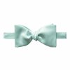 Man Eton Fluga | Bowtie Cermony