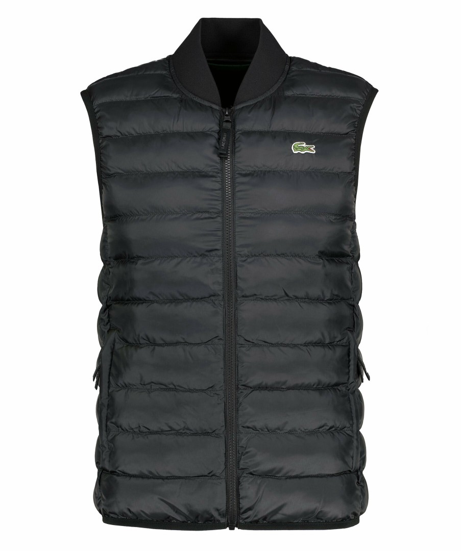 Man Lacoste Vastar | Insulated Vest