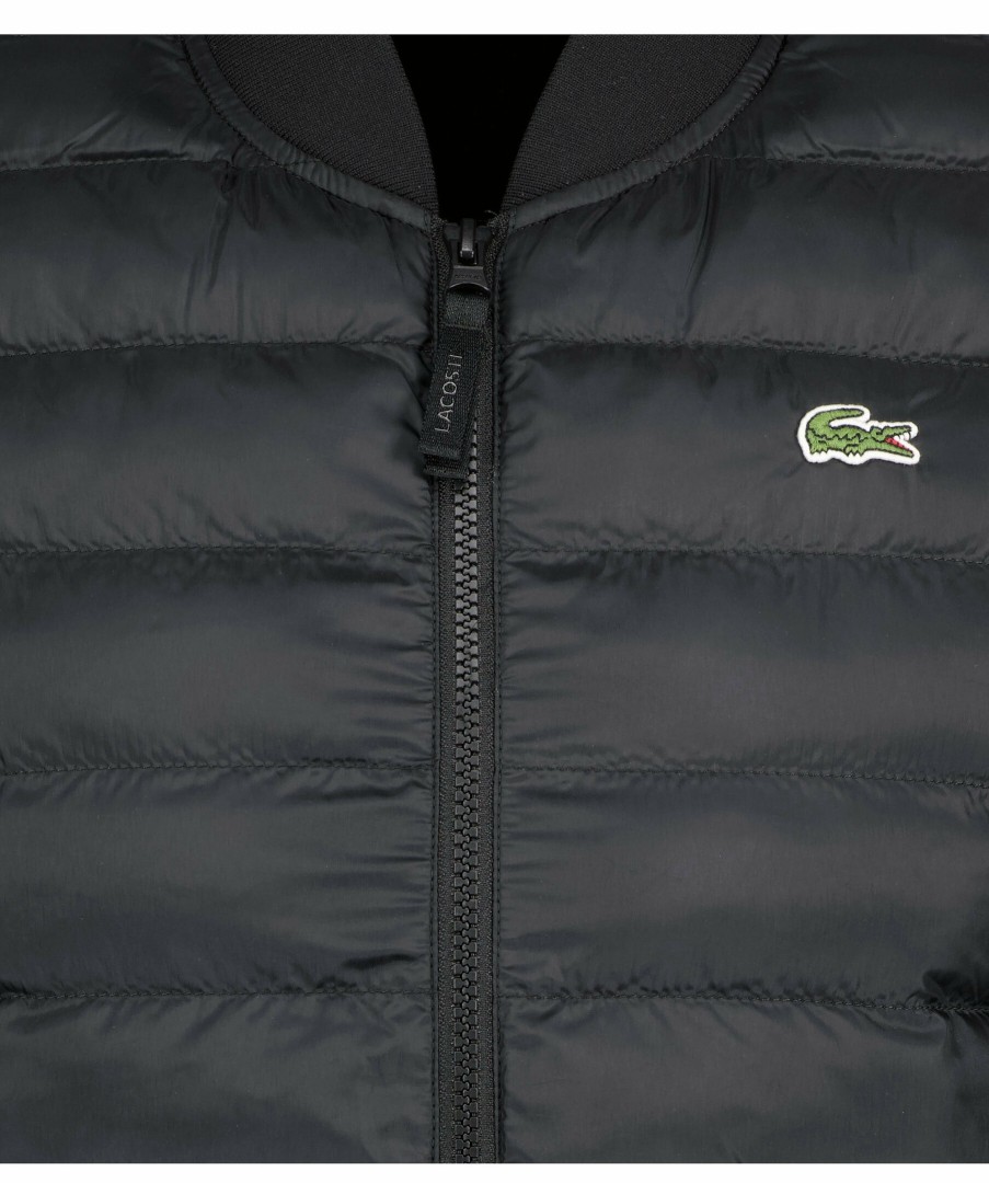 Man Lacoste Vastar | Insulated Vest