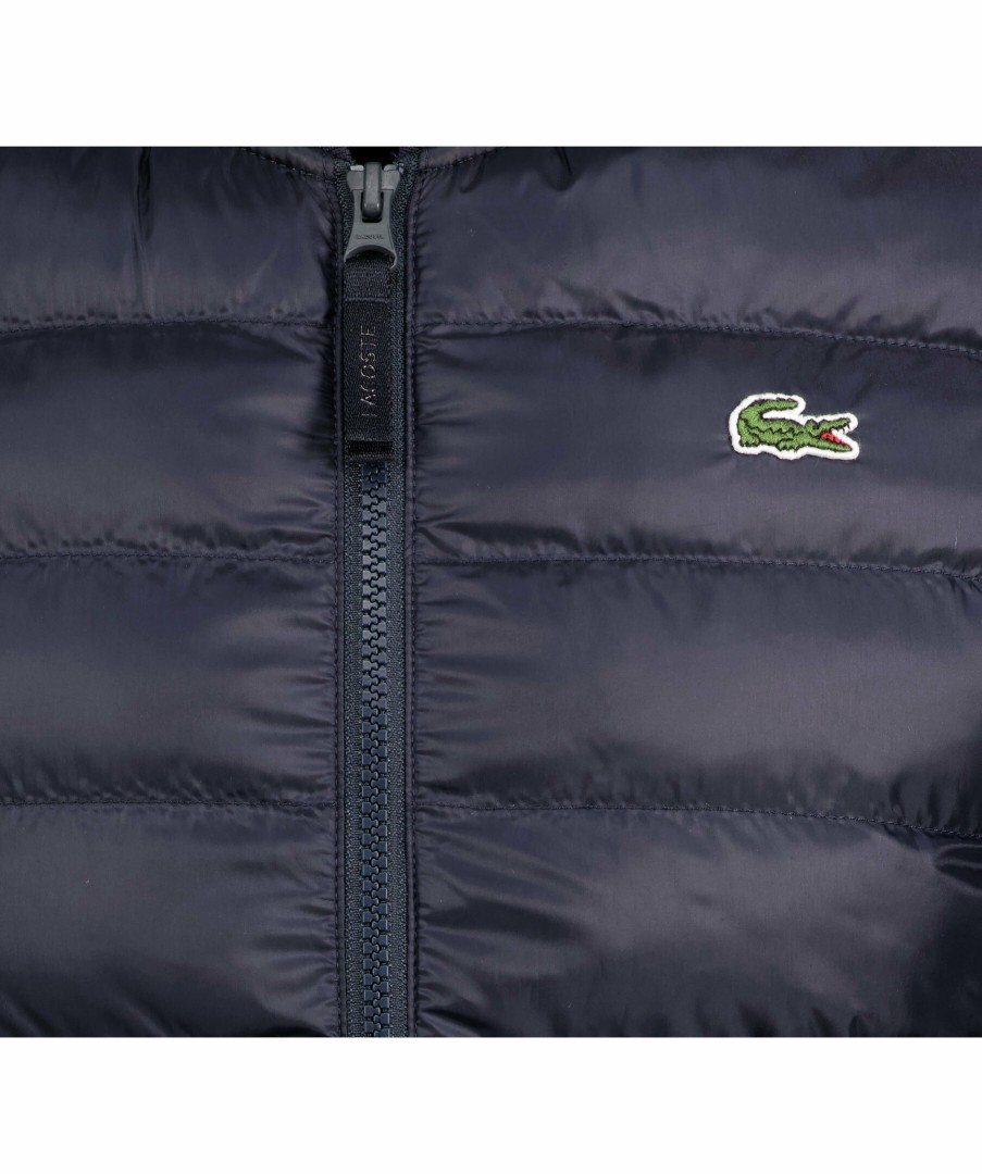 Man Lacoste Vastar | Insulated Vest