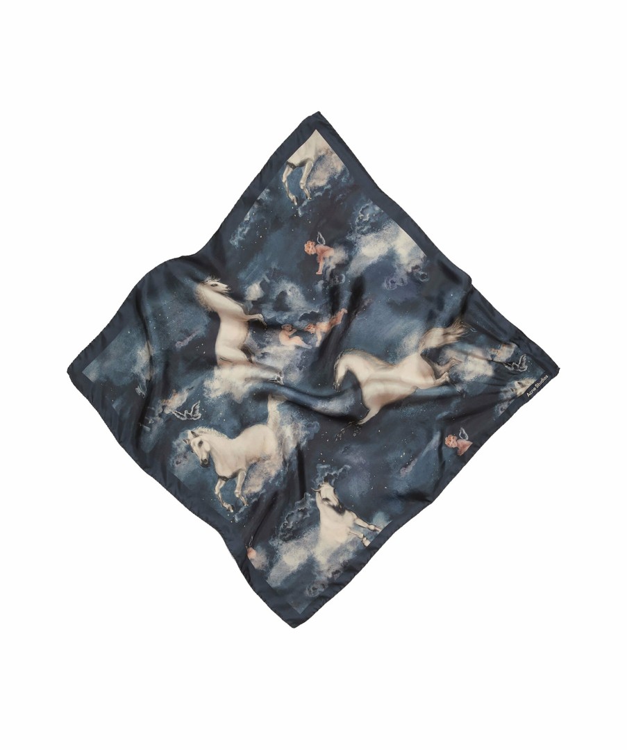 Kvinna Acne Studios Halsdukar & Scarves | Verka Silk Scarf