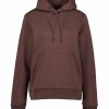 Kvinna Peak Performance Trojor & Hoodies | W Original Small Logo H