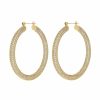 Kvinna Luv Aj Smycken | Pave Amalfi Hoops Earring