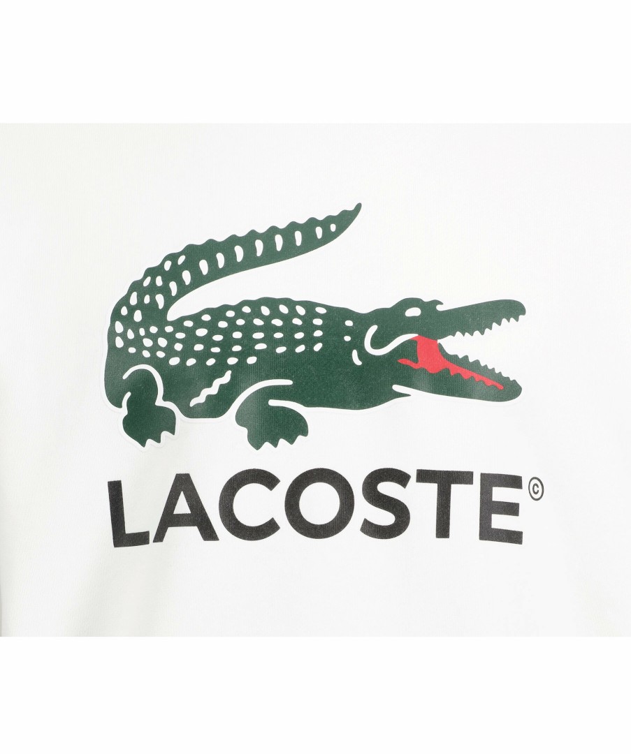 Man Lacoste Trojor & Hoodies | Logo Sweatshirt