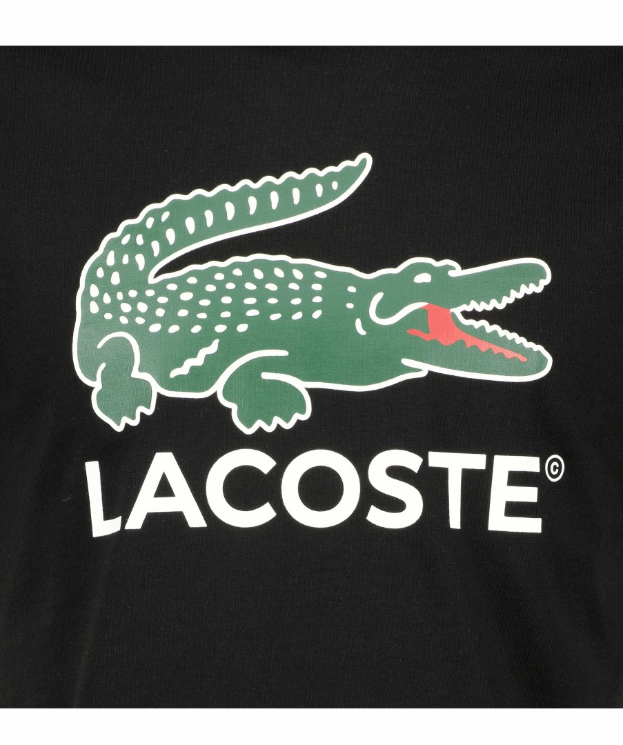 Man Lacoste T-Shirts | Logo T-Shirt